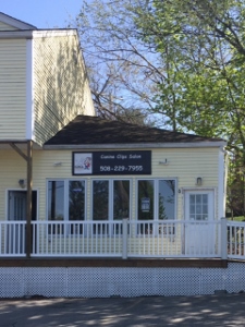 Marlborough Dog Groomer