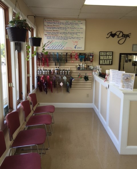 Southborough dog grooming