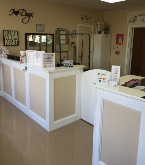 Hudson dog grooming