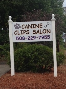 Pet grooming Marlborough, MA